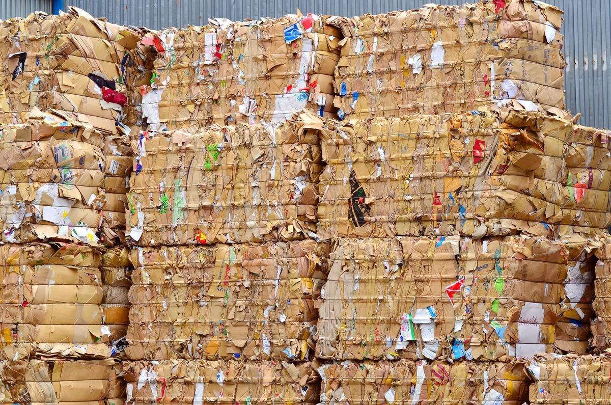 廢紙市(shì)場綜述：局部反彈(dàn)與價格波動