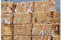 廢紙(zhi)市場綜(zong)述：局部(bù)反彈與(yu)價格波(bō)動